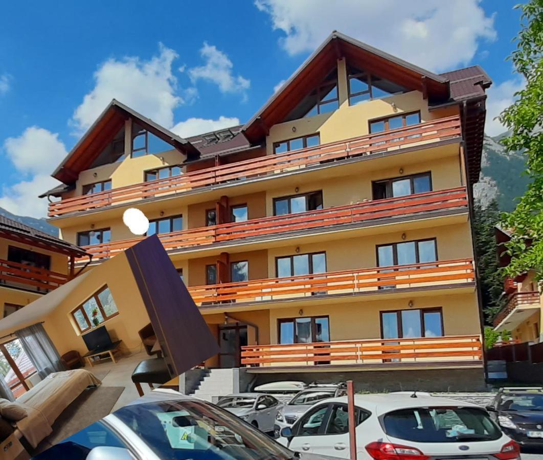 Kalinderu Skier'S Apartament Bellevue Apartment Buşteni Exterior foto