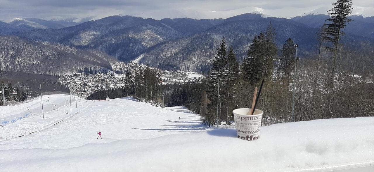 Kalinderu Skier'S Apartament Bellevue Apartment Buşteni Exterior foto